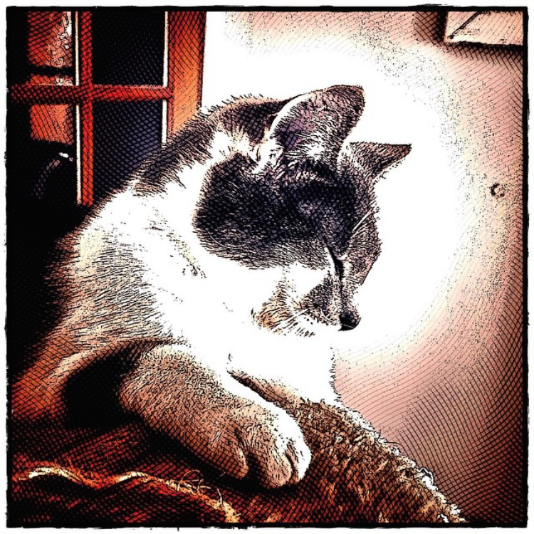 etchingsapp tweet media