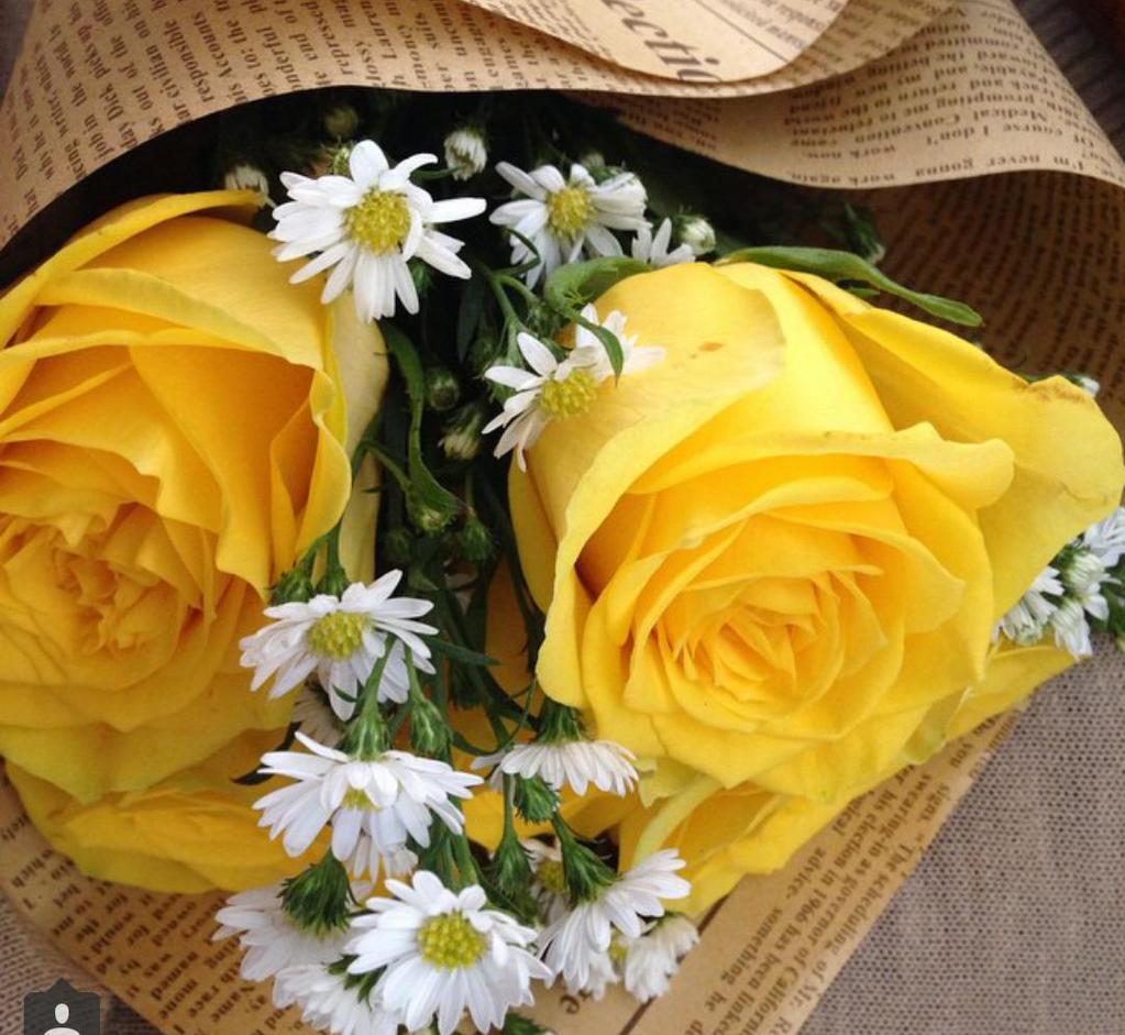 623159563ce24ef's tweet photo. @albaghdadiach احلا قنات http://t.co/P52WneaR0k