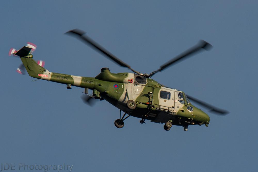 JDE1878's tweet photo. One from the garden tonight, 850mm, handheld, big crop, wind, excuses excuses... ;) #egnv #durhamteesvalley http://t.co/LcYz3zWSyp