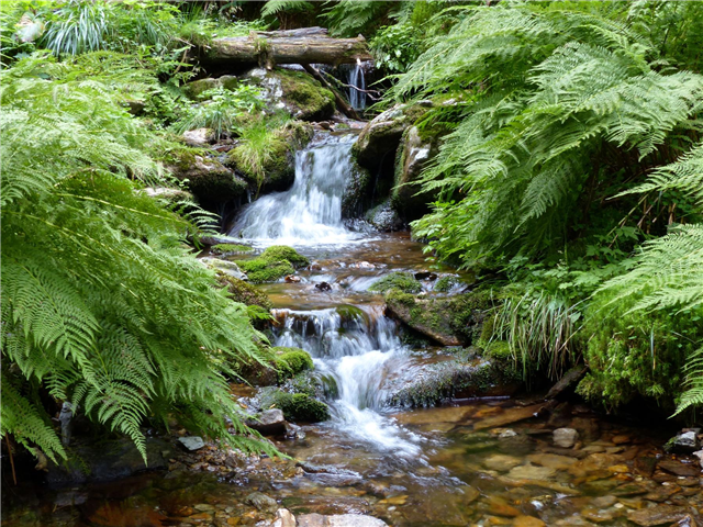burgeskarkaria's tweet photo. Batch processing could be a thing of the past; #bigdata brings real-time streaming. http://t.co/WIXB6VWrEr #4biz http://t.co/HLO1MzXhx4