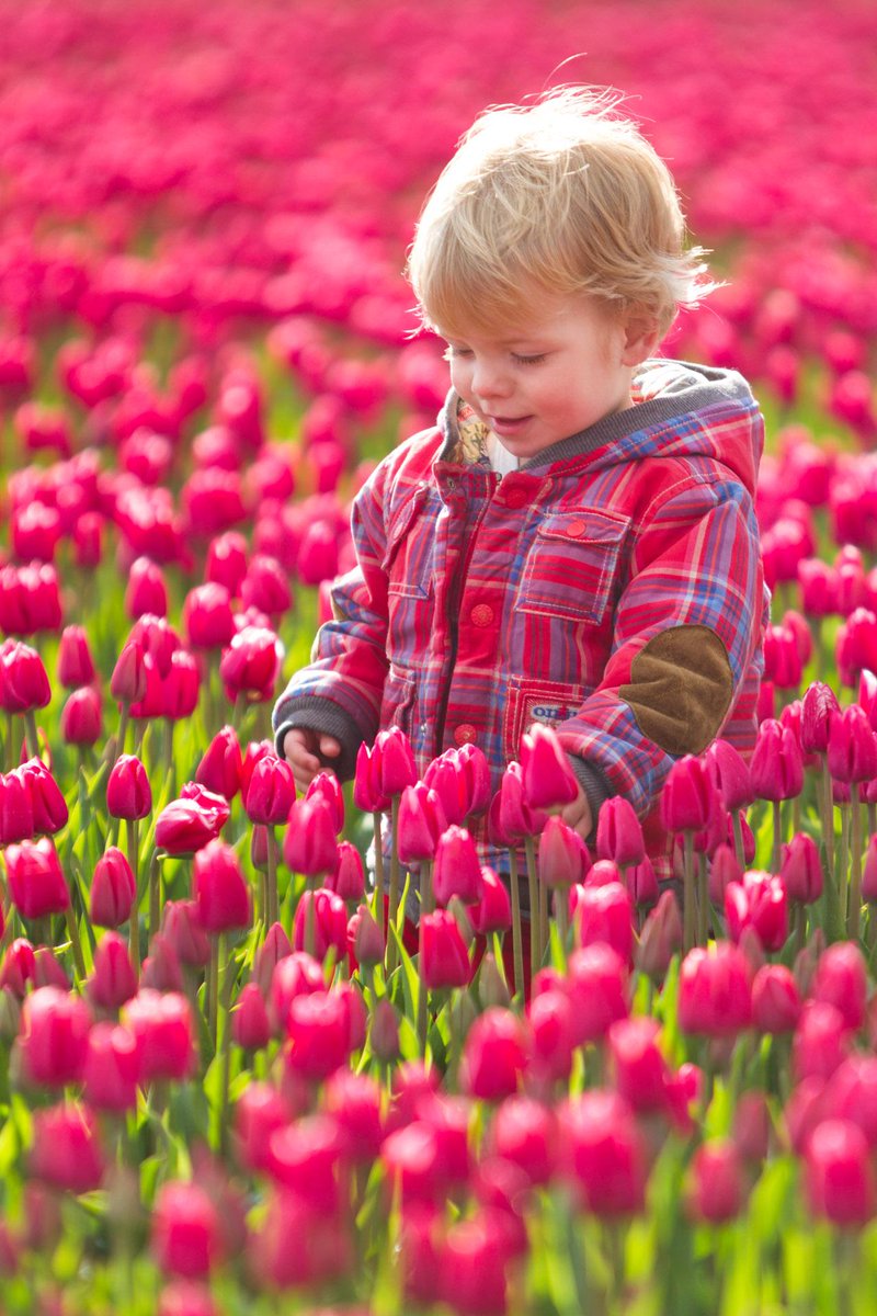 Bron: Harald Schipper