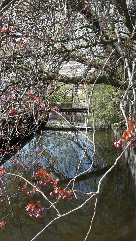 TheRussellTrust's tweet photo. Photographs taken at the Tullis Russell Mill in Glenrothes one sunny day last week. http://t.co/e0xWhCdsmS