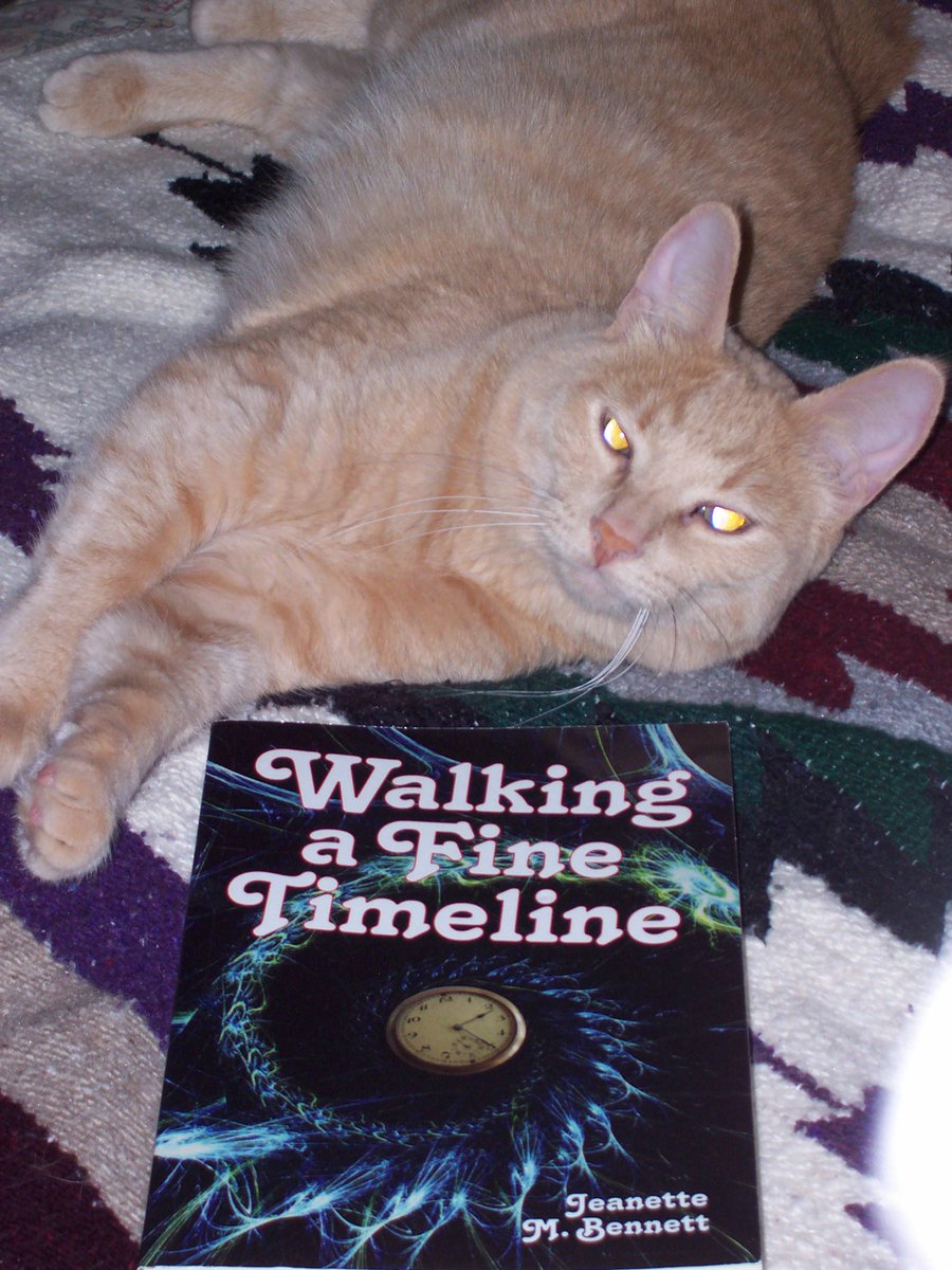 scablander's tweet photo. Yeah you wrote a sci-fi adventure comedy romance about time travel and temporal anthropology. Can I go back to sleep? http://t.co/XGnhImNbia