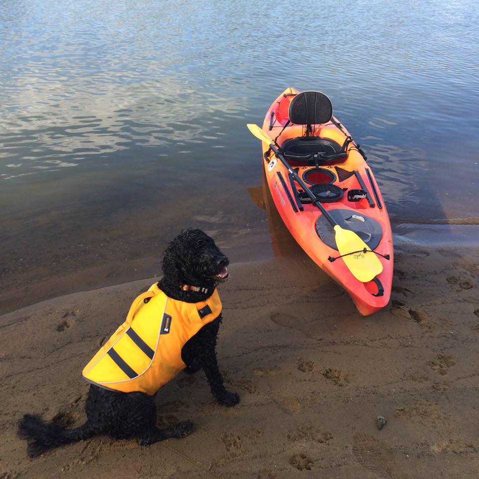 OutdoorEnergy's tweet image. Great shot from one of our fans. How do you #GetOutdoors? #TeamRealtree #OutdoorEnergy #LivingtheDream