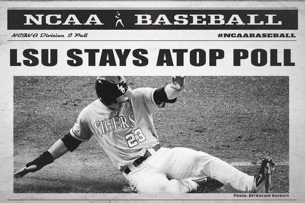 NCAABaseball's tweet photo. ICYMI: NCBWA Division I Poll

1. @LSUbaseball 
2. @UCLABaseball 
3-30. http://t.co/ny3N2xM6AU http://t.co/mvSQZVl3dP