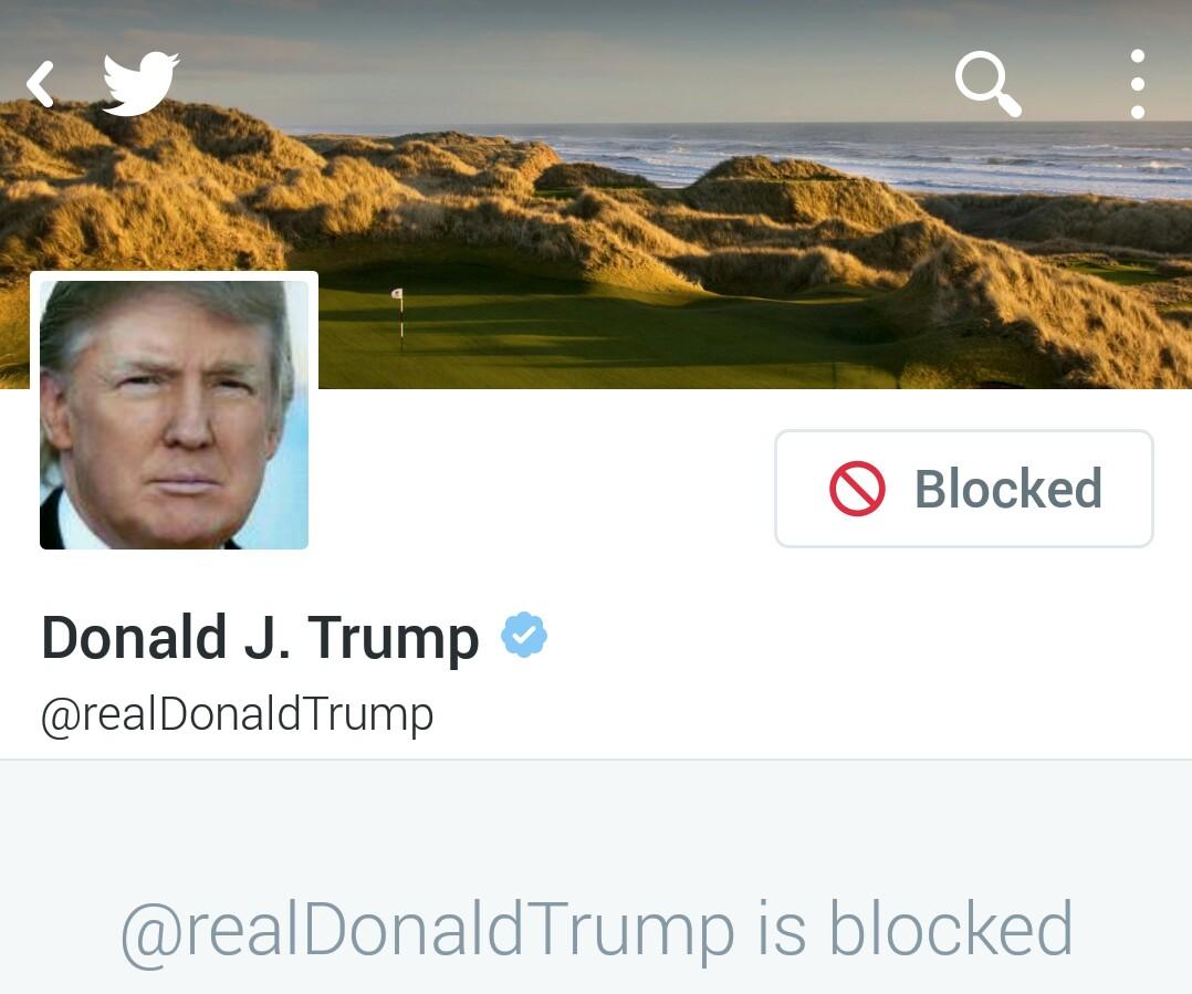 chrisbreikss's tweet photo. #blocktrump it will make you feel better. Link: @realDonaldTrump http://t.co/p4kJmkDIZj