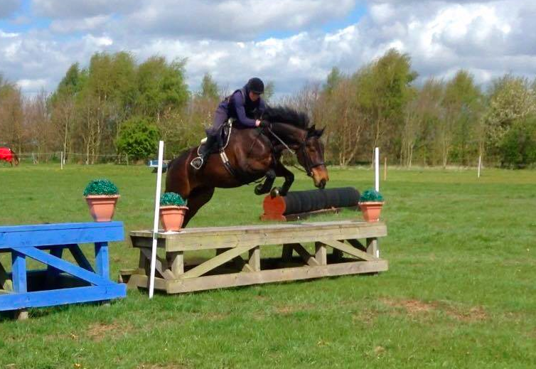 LucrorSH's tweet image. True Allrounder! 16.3 8y Idx Mare. STUNNING! 
lucrorsporthorses.co.uk/embla-coppice