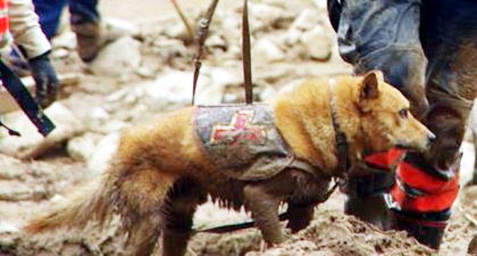 Twitterで画像を見る Twitterで画像を見る