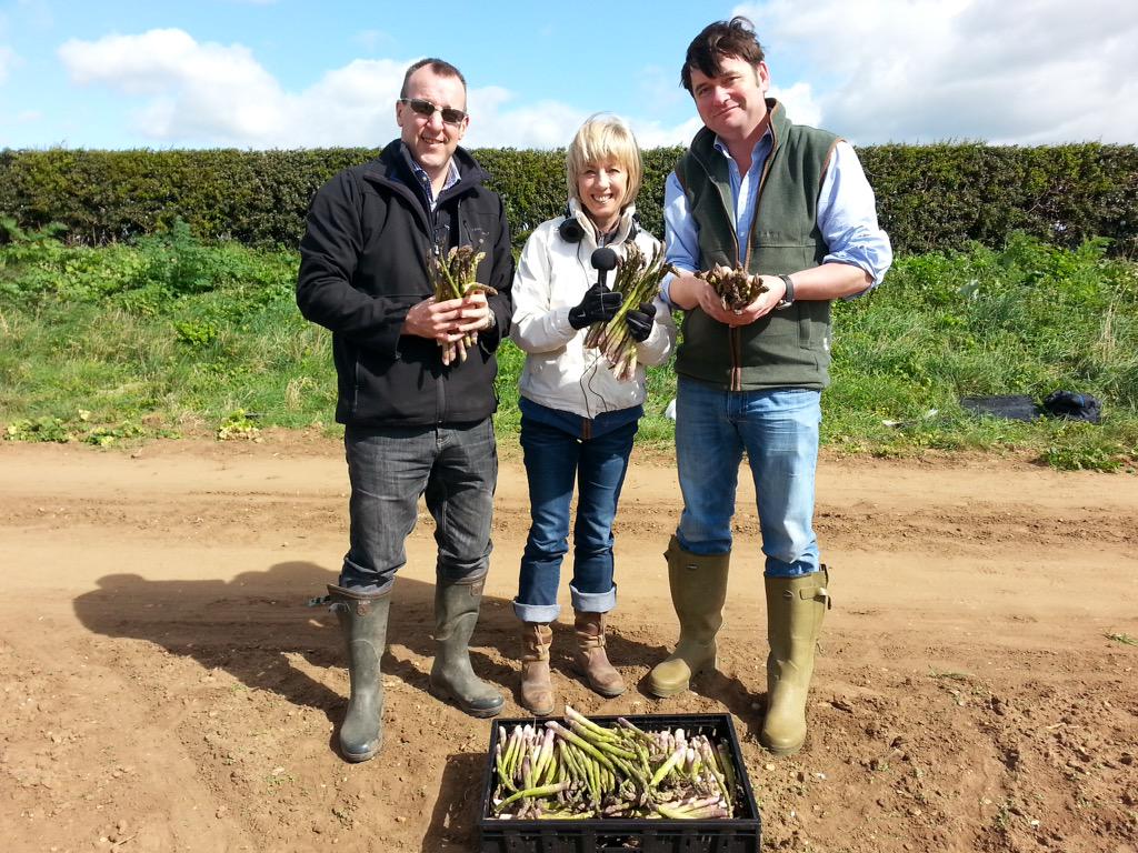 SybilRuscoe's tweet photo. Asparagus picking is backbreaking job! We're harvesting @BBCFarmingToday 5.46 Weds #farming #asparagus #veg #evesham http://t.co/1Lug24NkwL