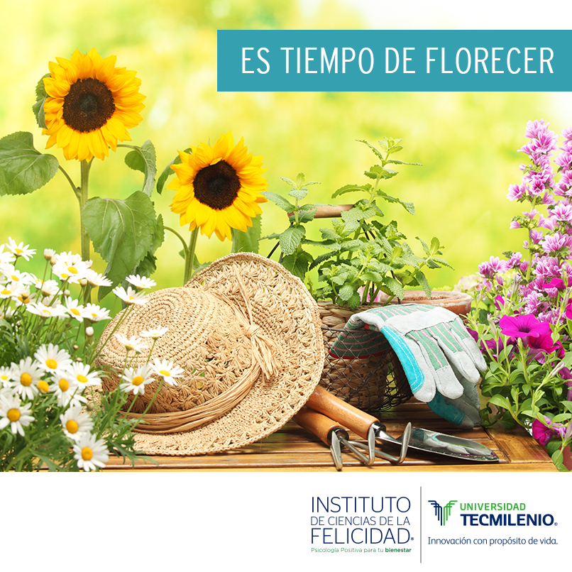 icfelicidad tweet picture