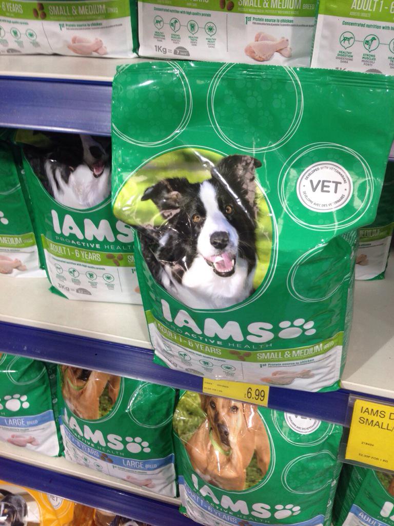 ShadowHalloran's tweet image. Getting my modelling career off to a good start. Move over Brad Pitt. #RagsToRiches #HighFashion