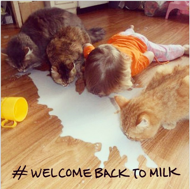 MuteUSA's tweet photo. The countdown is on! Only 20 days until @dublondemusic's new album, #WelcomeBackToMilk is out. http://t.co/UDmabjRmd6 http://t.co/ItYe035PRQ