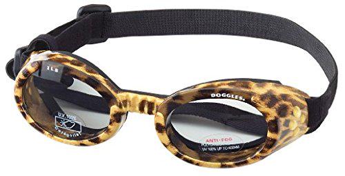 charmingpets1's tweet photo. Doggles ILS are the first and only protective eyewear designed just for dogs: http://t.co/qu04GzWrqC 

#dog #pet http://t.co/UwRPY3qHqW