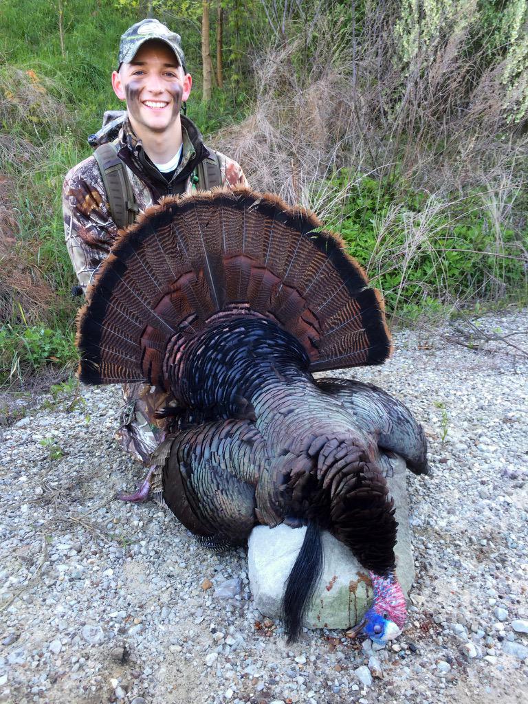 WVdeerHunters's tweet photo. WV Bird down this morning!! @Tbutcher32 @AverageHunter http://t.co/R4vSYlIISc