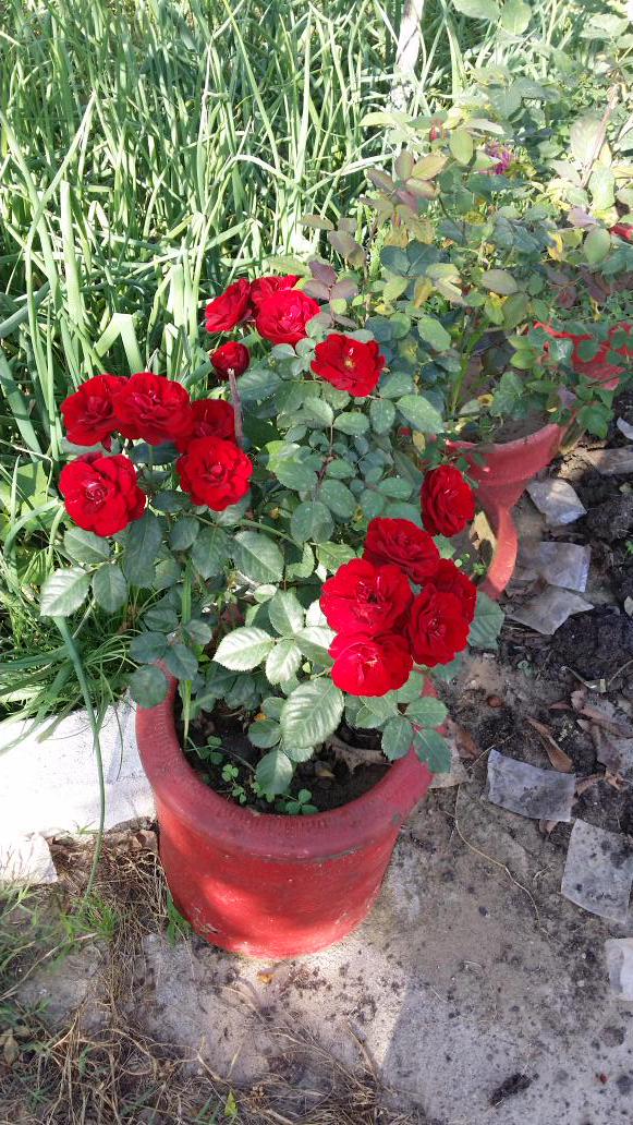 3701Akhtar's tweet photo. @chantal07851635 http://t.co/pGwRl6SqJJ