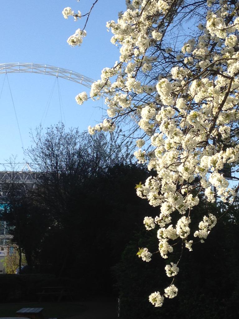Wembley Park tweet media
