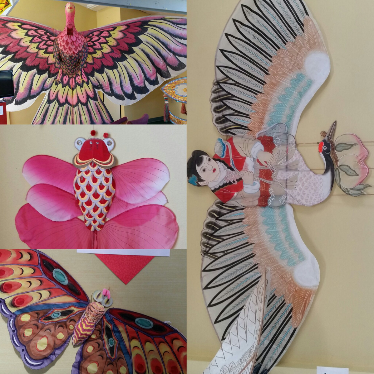 runruhpnw's tweet photo. #RoadTrips with my mom: @WorldKiteMuseum  http://t.co/6MNo8uAbye via @Shareaholic http://t.co/LNwjO0KX59