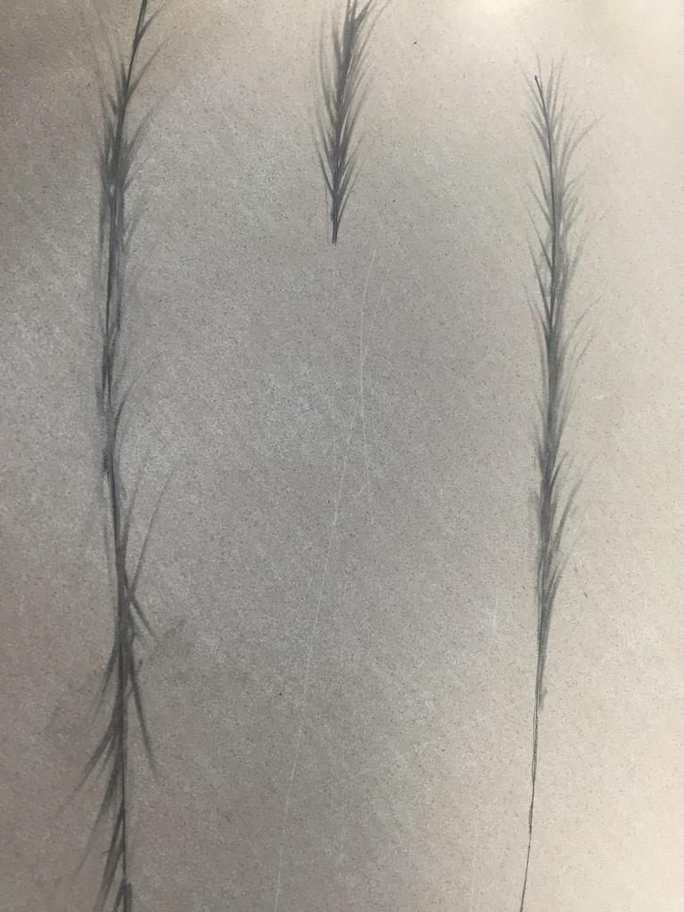 ♡Riley♡ tweet media