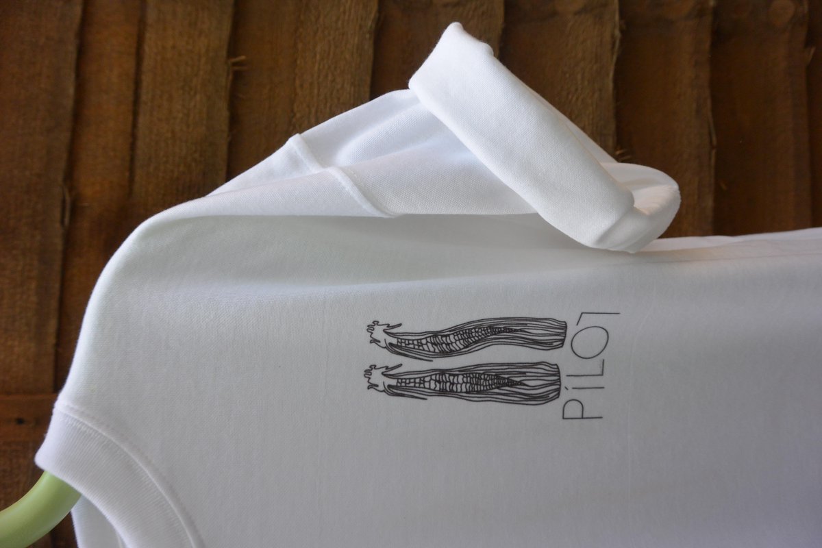 PilotClothing's tweet photo. RELEASE AN HOUR EARLY 
corn t-shirt
£15.00 
http://t.co/enmMG6xs66 
#pilotclothing #tshirt #brand #corn http://t.co/fuh5xJBWlk