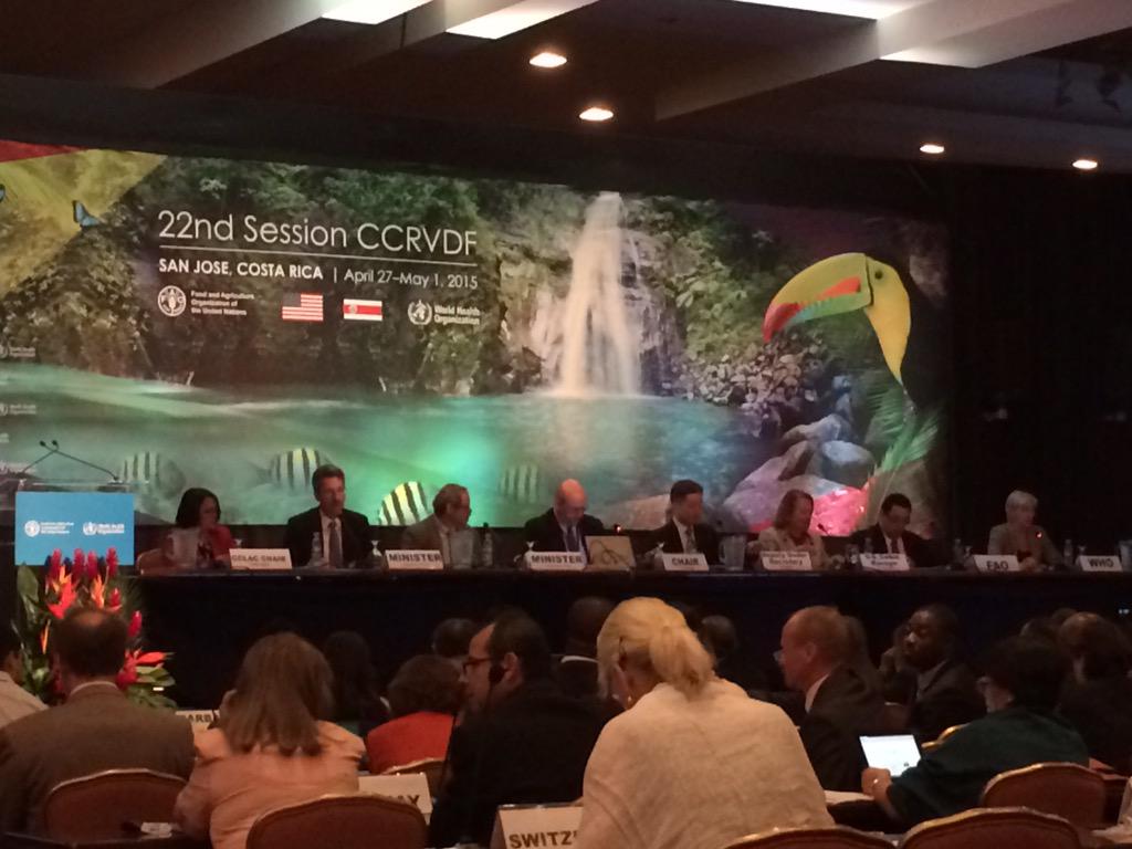 CODEXCCLAC's tweet photo. Costa Rica es sede de la reunión internacional del Codex sobre Residuos de Medicamentos Veterinarios en alimentos. http://t.co/yzQql5GH8k