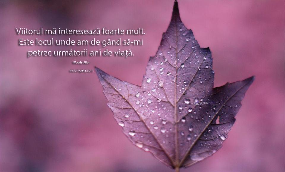 Vision_Gate's tweet image. 