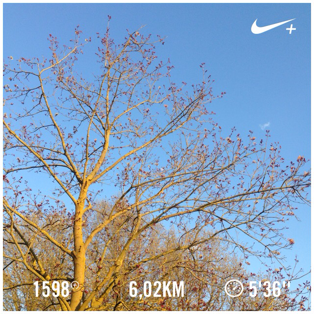 VrouwMetStijl's tweet photo. En nog een PR😄 #5k #pr #mamaloopt I just ran 6,02 km @ a 5'36''/km pace with Nike+. http://t.co/3LzhPAF2mQ #nikeplus http://t.co/LtuAatKbKG