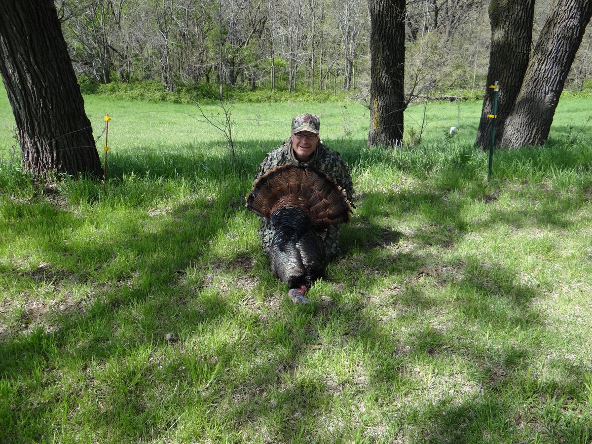 NEOutdoorGuy's tweet image. Took a nice Nebraska gobbler today! #SpringTurkeyHunting #NebraskaHunting #WildTurkeyHunting