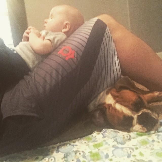 Tyler_Deveraux's tweet photo. Ziggy will take any type of cuddle action these days!
#ClubDrox #DadLife #YesMyEntireFeed… http://t.co/mfHy5i4mWq http://t.co/926Vq655LC