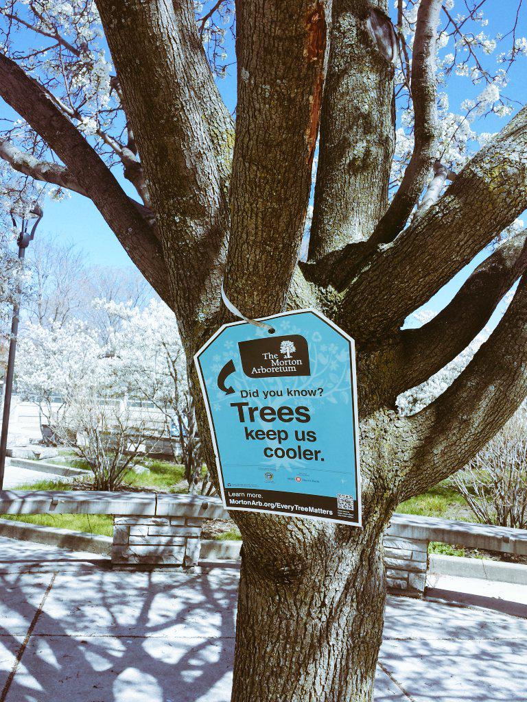 What a nice day to study for that final outside on our beautiful campus #neiu