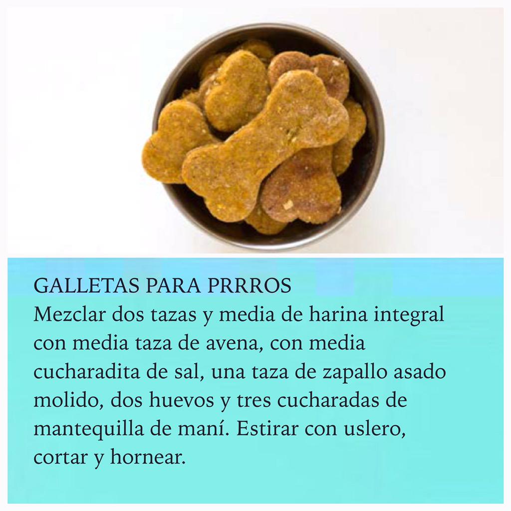 virginiademaria's tweet photo. Galletas para perros en #RutaOasis @OasisFMChile http://t.co/GWtwAuYACQ
