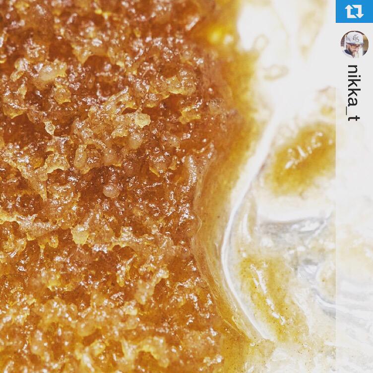 HotBoxJA's tweet photo. Learn to make #solventlessextracts w @ExtractArtist @HotBoxJA #GanjaSchool MAY 22-29 💥💨
http://t.co/FEHByGmtBm http://t.co/p583uS0xTL