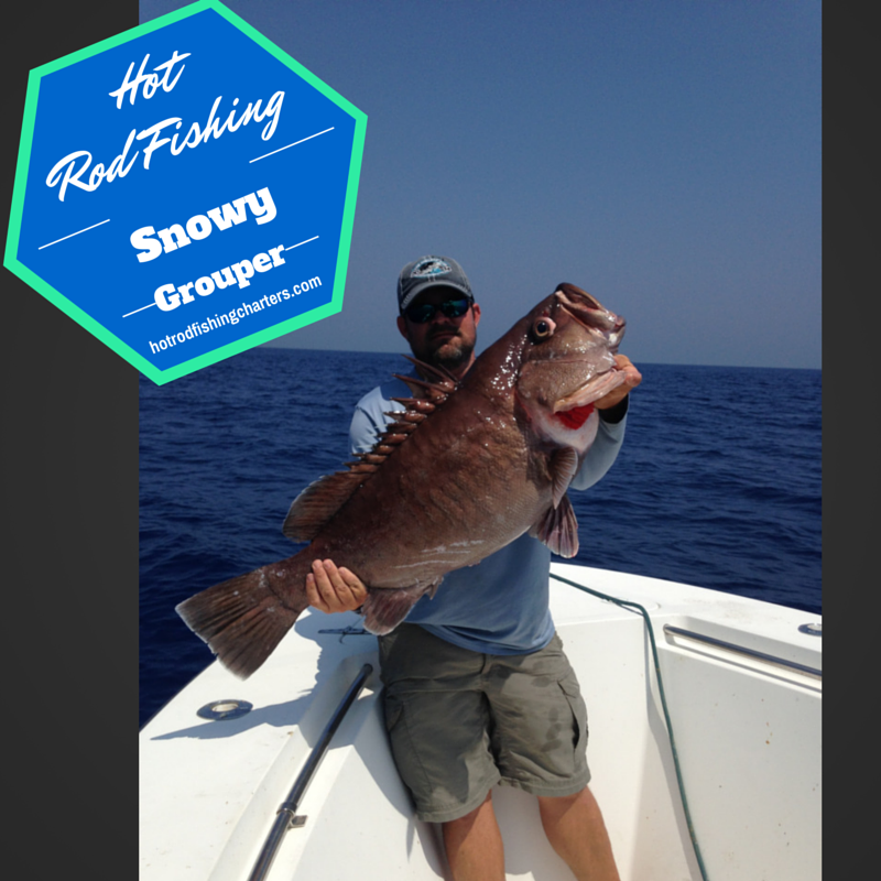HotRodFishing's tweet photo. I'd say we had a successful day. What'd do you think @SaltwaterExp? #snowgrouper #bigpinekey #FLlove http://t.co/rc8S4gH7VL