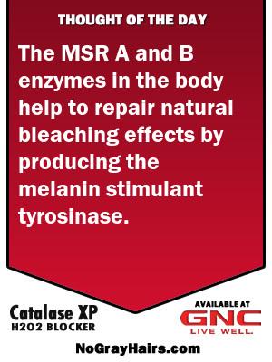 NGHCatalase's tweet photo. Melanin stimulated by tyrosinase. See image. From http://t.co/UtJ8oDFY3a #catalaseendsgray http://t.co/0gloMGiHeo