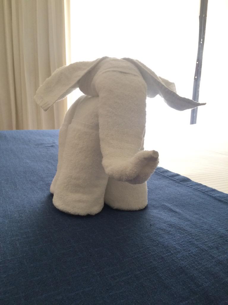 AubinZ's tweet photo. #elephantiasis http://t.co/s6XQiM4nMl