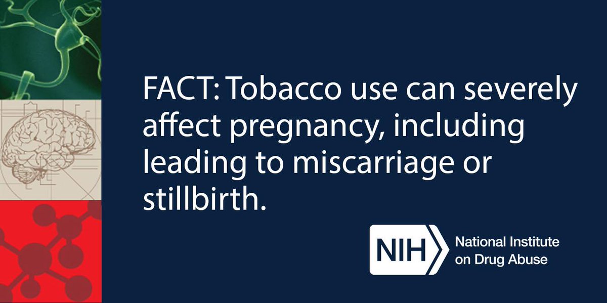 NIDAnews's tweet photo. Tobacco use can severely affect pregnancy, including leading to miscarriage or stillbirth. http://t.co/cCMT1Z9FDW http://t.co/i5vjznOcT6