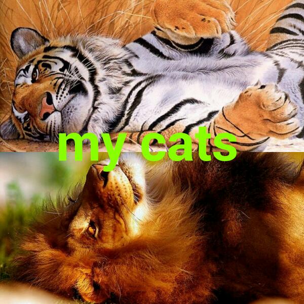 joleanfreeman56's tweet image. 