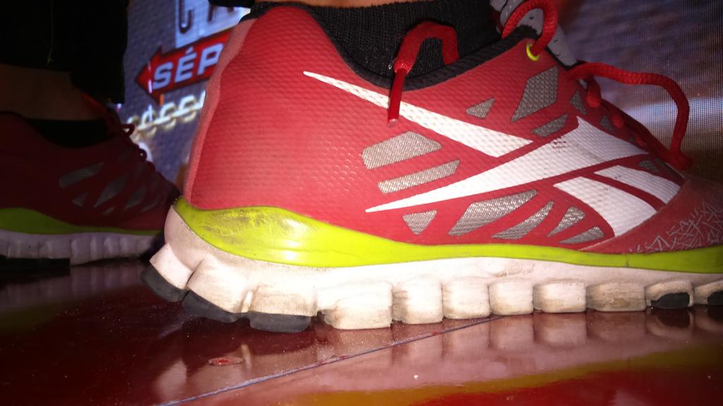 TCdeportesEC's tweet photo. ¡Ha llegado el CAMPEÓN a Calle 7! ¿Quieres una foto de él? Haz que este tuit tenga 30 RT's.

HT: #YoCreoQueEs http://t.co/uwhH9ytWW6