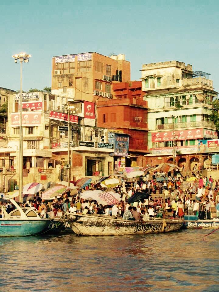 curiositymaluli's tweet photo. En Varanasi tomas las decisiones más extremas:paso por la cabeza o culo de la vaca? Rata o mono con rabia? Loved it! http://t.co/GhC1qdIgNN