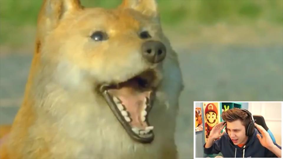 Rubiu5's tweet photo. Por cierto, Doge se coló en el video y ni me di cuenta lol. *YA ESTA. ME VOY A DORMIR. COÑOYÁ* http://t.co/V2XzCwI3Ui