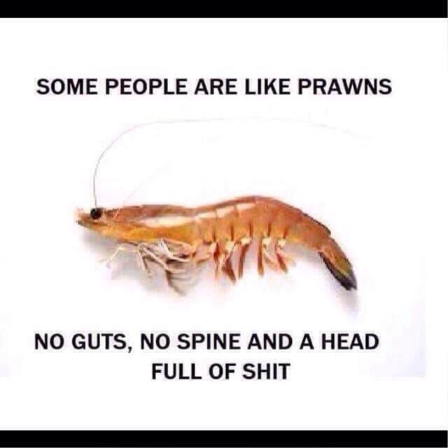 lannyfrench83's tweet photo. #true 😂😂 http://t.co/yHcAa3QbuB