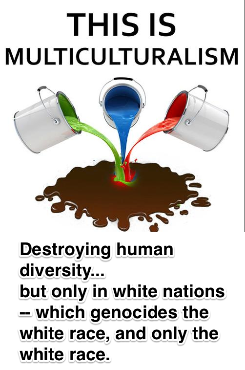 BNLieb's tweet photo. ”Diversity" is a racist euphemism for phasing out whites, for ethnic cleansing &amp; nonviolent (4 now) #WhiteGenocide. https://t.co/50cwKO1YjS