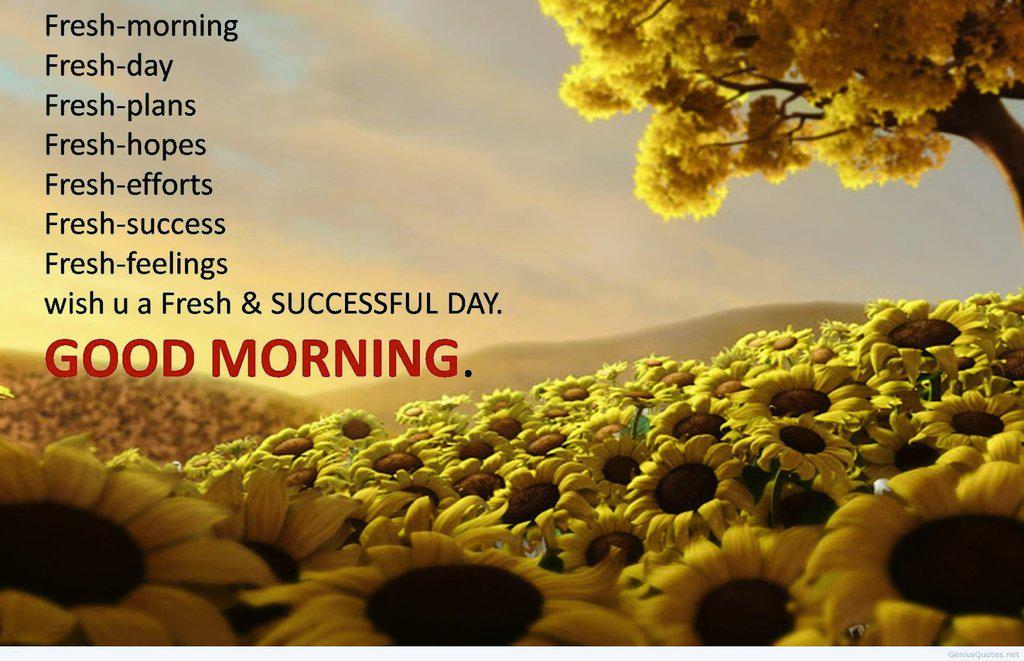 eiyla_razali's tweet photo. Morninggg http://t.co/q6na65PeW6
