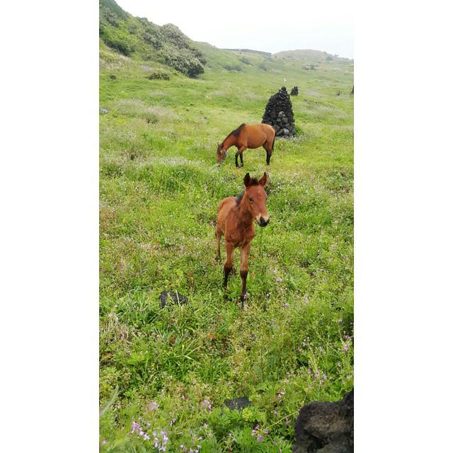 CDu-0cDUEAAioBk.jpg:large