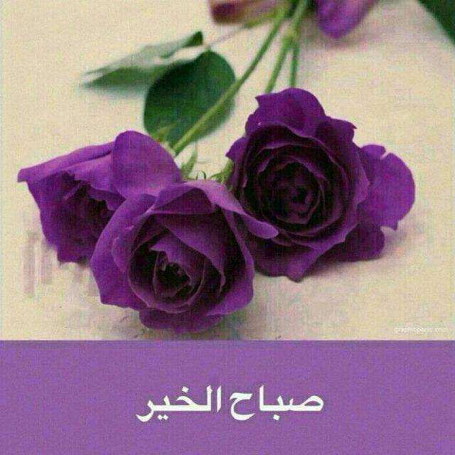 Hind504's tweet photo. ولو تعرف المحبه ؟ ماتخون السنين ! انت مالك بدنيا الحب حتى امان.. http://t.co/5XPJIOGY5Z