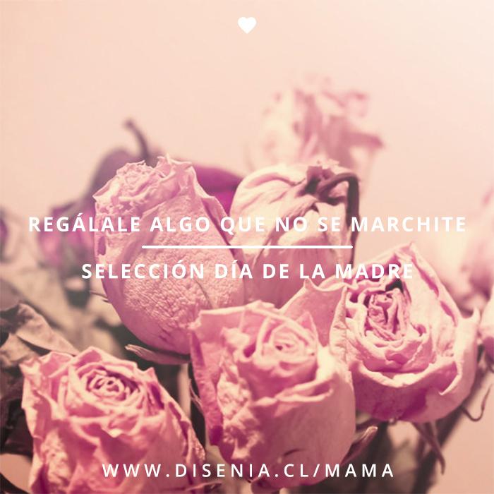 DiseniaCL's tweet image. Regálale algo que no se marchite --&amp;gt;&amp;gt; goo.gl/S6hMRV #RegalaDiseño  #DíaDeLaMadre