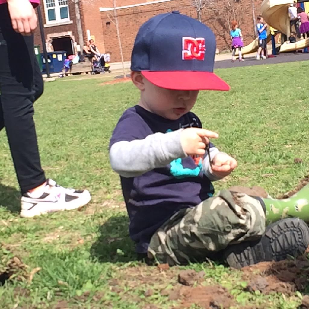 DrGiuliana's tweet photo. #treesplease helper discovering worms during @HamiltonNature #shadeproject #AMCunningham school http://t.co/aPnCZKipox