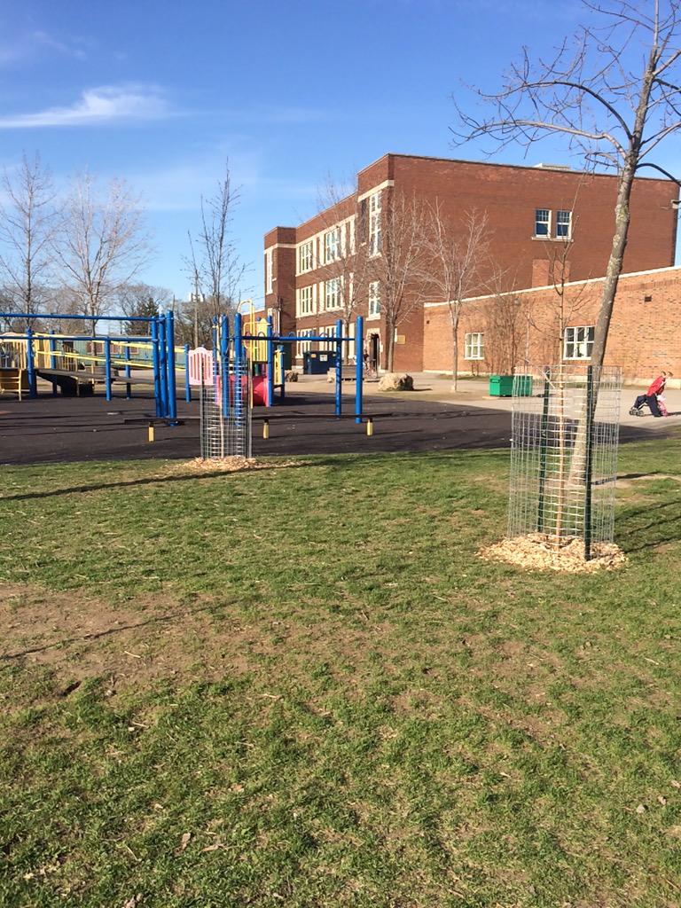 DrGiuliana's tweet photo. @HamiltonNature #treesplease in @CrownPointHub w #AMCunningham school! #urbanforest #shadeproject 20 new trees! http://t.co/nZ1sPndNFa