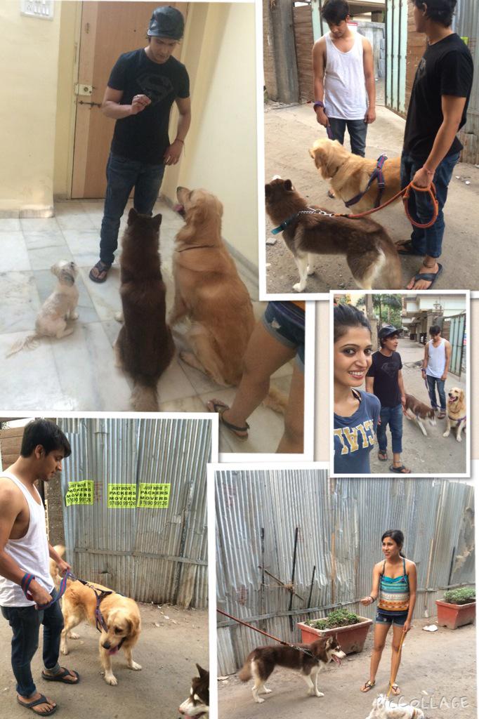 Embedded image permalink