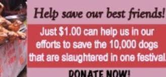 world_rescue's tweet photo. Preventing the 2015 Yulin Dog Meat Festival! To Save the Dogs, pls visit
http://t.co/UNQ68nj5fJ http://t.co/1mA6HwjZLi