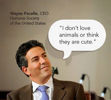 KatharineDokken's tweet photo. Coming Up #OperationWildfire, May 2! #HSUSscam #HSUSSucks Pacelle doesn't love animals or think they are cute. http://t.co/UwllWxMTSn